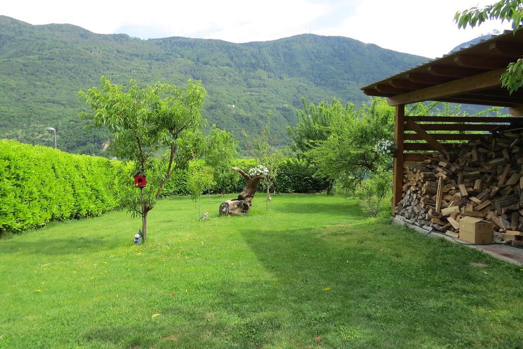 B&B Il Grappolo Bianzone Ngoại thất bức ảnh